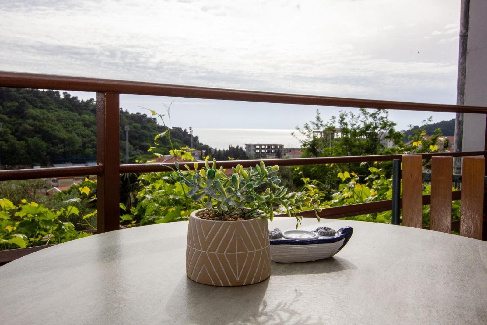 Apartments Ardura Petrovac エクステリア 写真