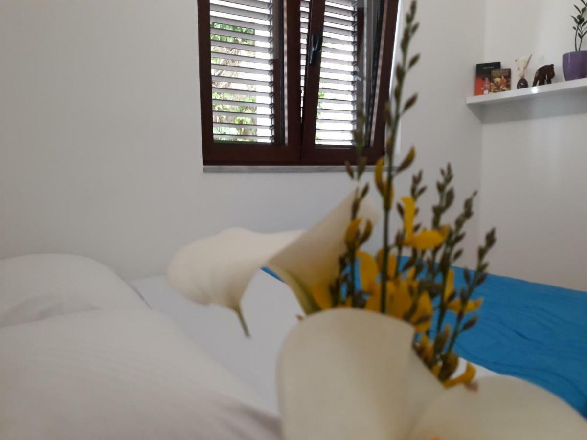 Apartments Ardura Petrovac エクステリア 写真